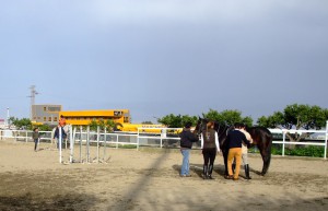 FOTO_N._2