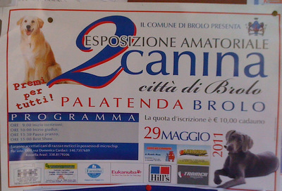 BROLO – il 29 maggio le” star” a quattrozampe al palatenda