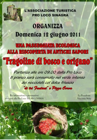 PRO LOCO DI SINAGRA – Sapor di fragoline.