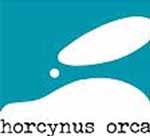 MESSINA – La Fondazione Horcynus Orca e la “giornata delle arti”