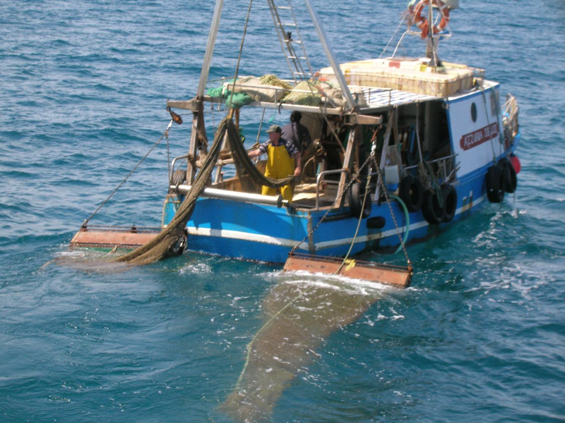 PESCA – Le organizzazioni della pesca siciliana contro la proposta di riordino del MIPAAF