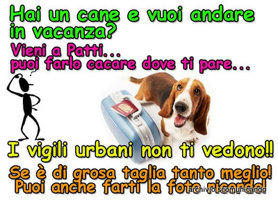 PATTI – I cani, le polpette avvelenate e via Fontanelle