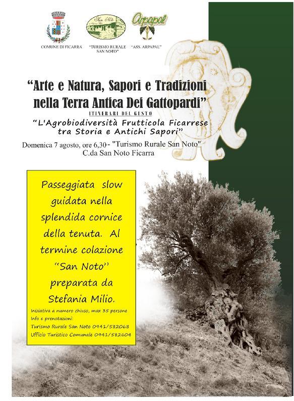 FICARRA – Itinerari Turistici del Gusto