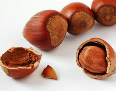 PROTESTE – Slitta la manifestazione dei produttori di nocciole