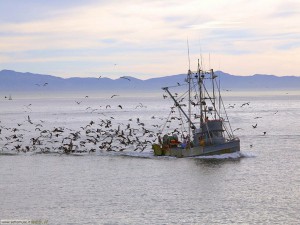 pescatori_004