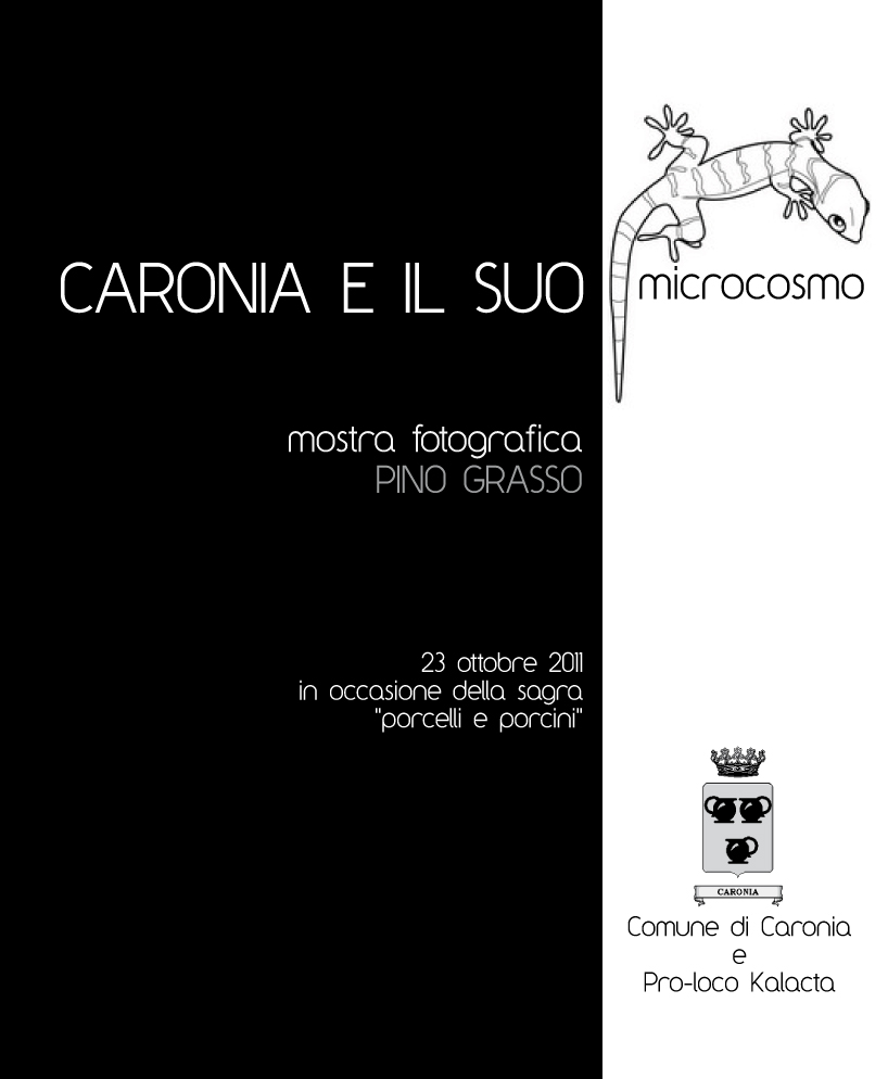 FOTOGRAFIE – Gli “scatti” di Pino Grasso, domenica a Caronia