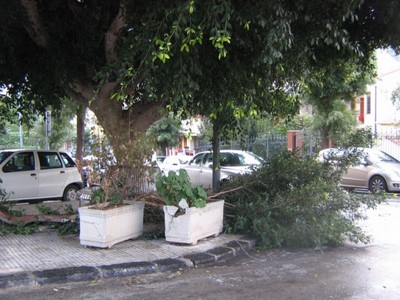 BROLO – Un ramo spezzato… per distrazione