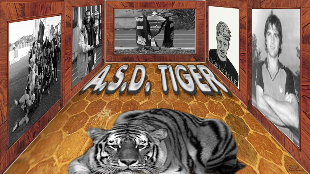 TIGER BROLO – Cifre e curiosità in “Coppa Italia”.