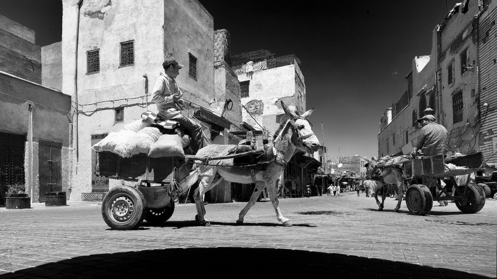 LA FOTO – “Traffico”