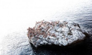 brolo_scoglio_lorenzo_thumb_medium340_204