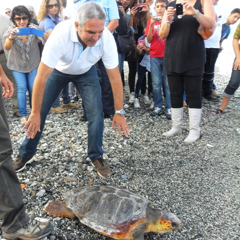VENETICO – Restituite al Mar Tirreno due splendide tartarughe marine della specie Caretta Caretta