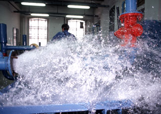 CARA ACQUA – Domenica a Brolo si firma.