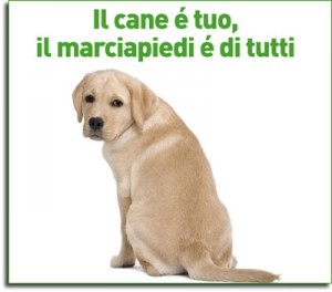 deiezioni-canine