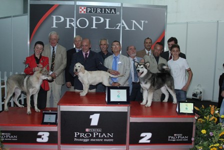 MESSINA – Premiati i cuccioli della Pro Plan Cup 2013