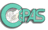 CEPAS – 20 dicembre, poesie e pensieri dal carcere di Messina