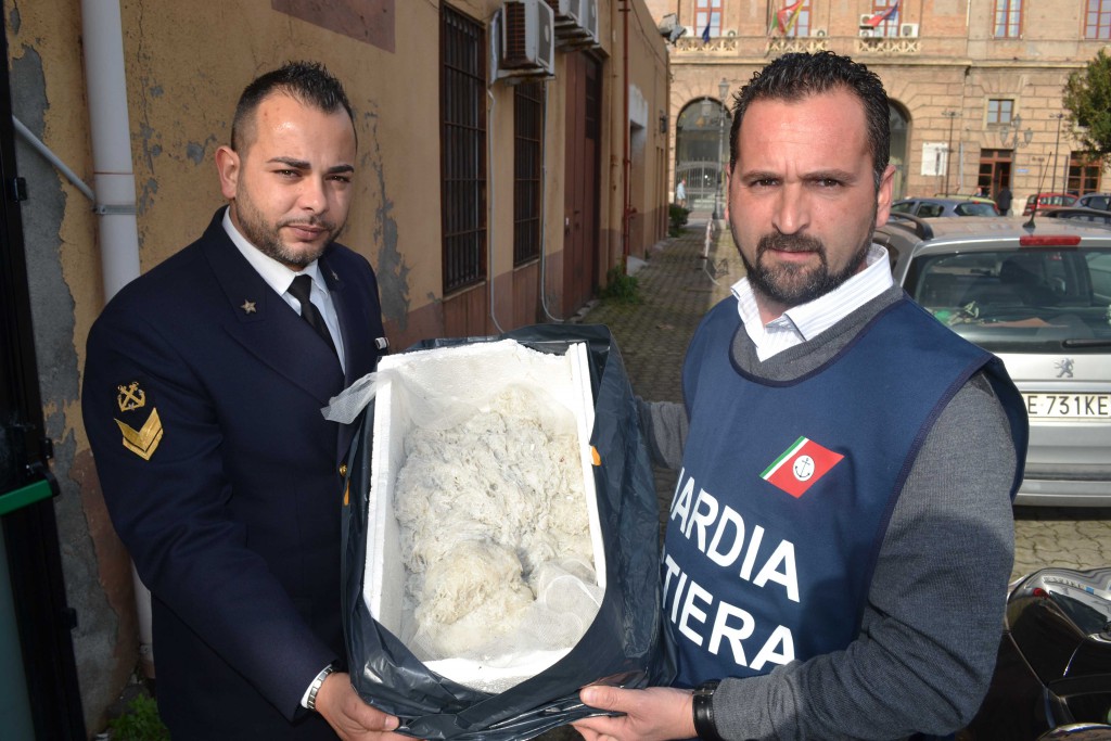 MILAZZO – Sequestrati 5 kg di prodotti ittici illecitamente venduti