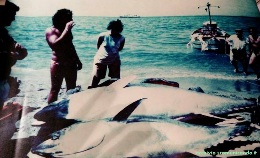 BROLESI – La buona pesca