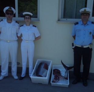 Guardia Costiera di Capo d’Orlando – I controlli sul “Tonno Rosso”, a setaccio la filiera del prodotto ittico