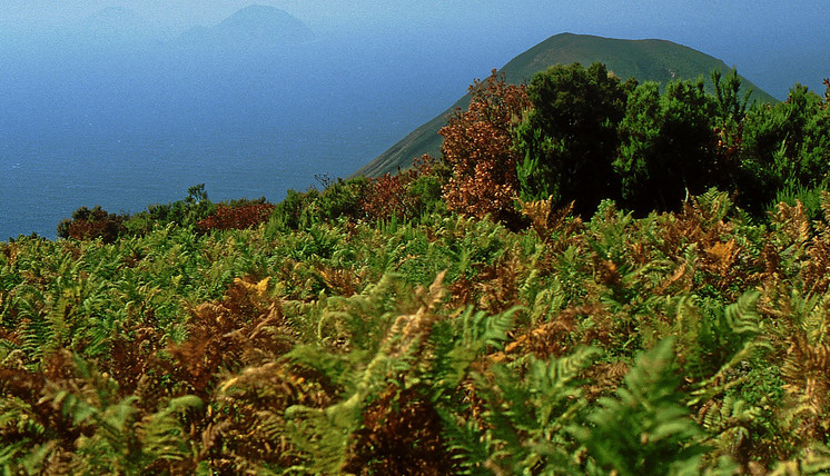 SALINA – Ultimati i lavori di riqualificazione e messa in sicurezza dei sentieri di accesso alla riserva naturale orientata “Le Montagne delle Felci e dei Porri”