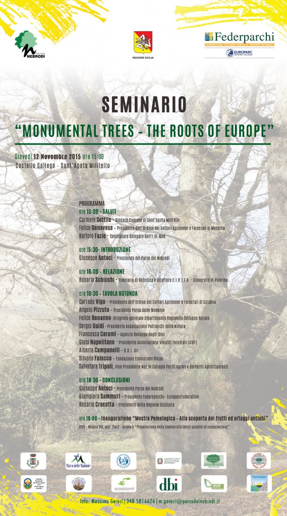 S. AGATA MILITELLO – Seminario Monumental Trees