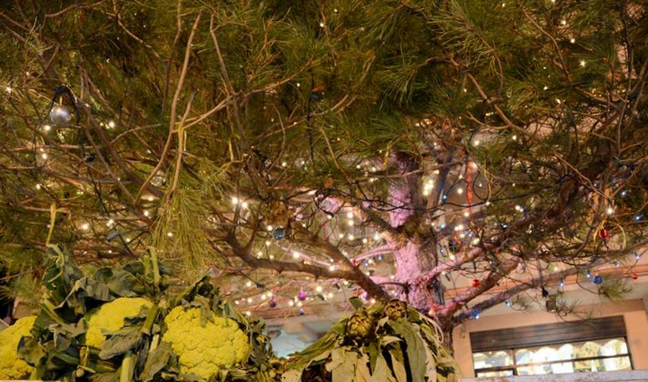 Foto di Stagione – Cavoli sotto l’Albero