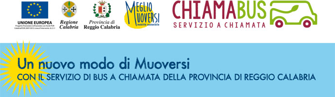 REGGIO CALABRIA – Provincia “Bene servizio ‘Chi-ama bus’ e collegamenti tra aeroporto e Messina”