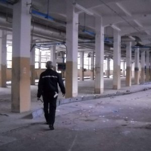 BOLOGNA – Trovato morto giovane di origine sanfratellana
