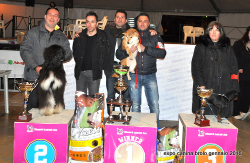 Expo Canina Brolo 2016 – Chi ha vinto e la soddisfazione dello staff della Dream Leader Zoo, gli organizzatori
