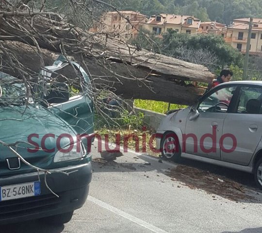 Brolo – Albero “vola” su un auto in transito, sfiorata la tragedia