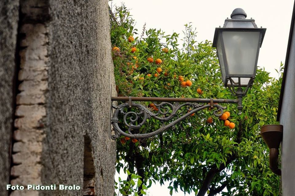 La bella foto – Brolium… nulla è a caso, a partire da nome