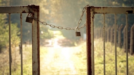 CALABRIA – Bando finanziamento progetti per l’utilizzo di terreni confiscati
