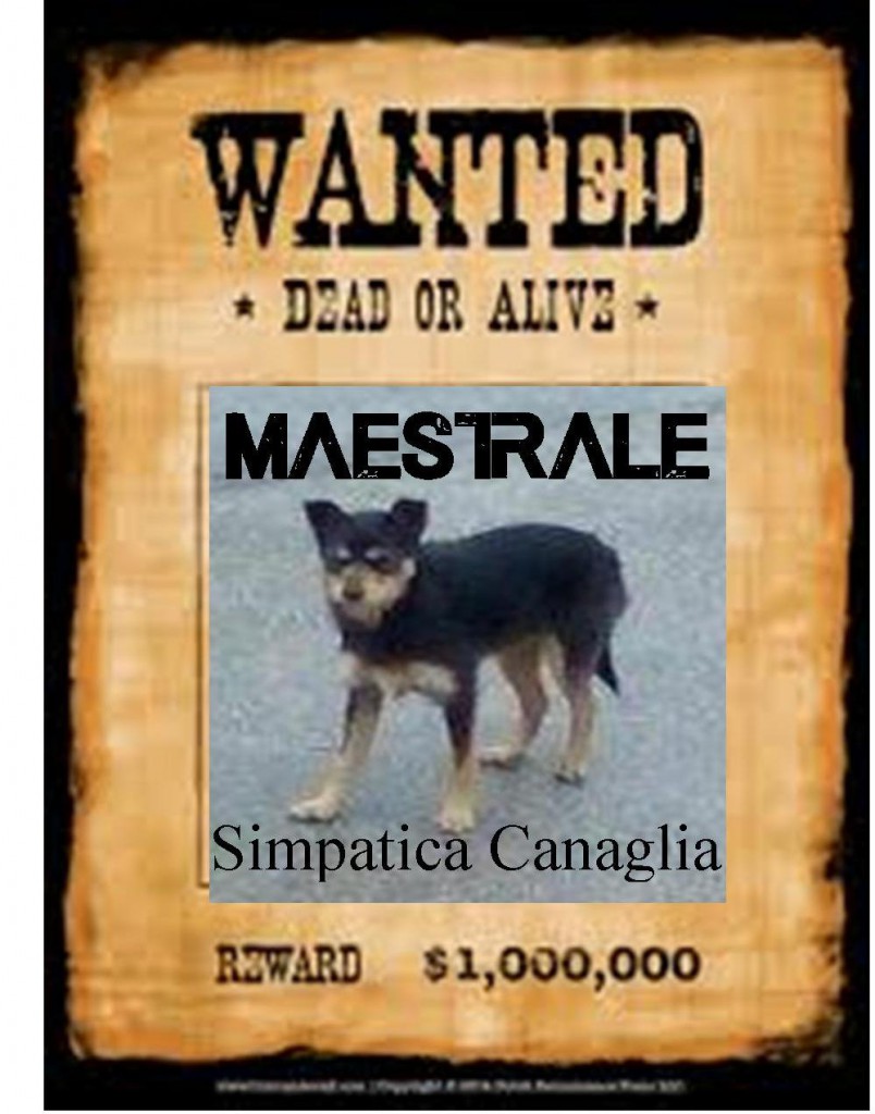WANTED – “Maestrale” resiste all’arresto