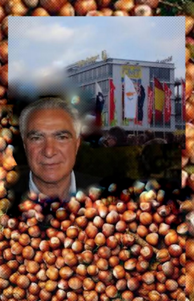SINAGRA – Le nocciole dei Nebrodi saranno presenti alla fiera agro-alimentare di Stoccarda