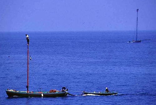 REGGIO CALABRIA – Guardia Costiera: fermo pesca del pesce spada