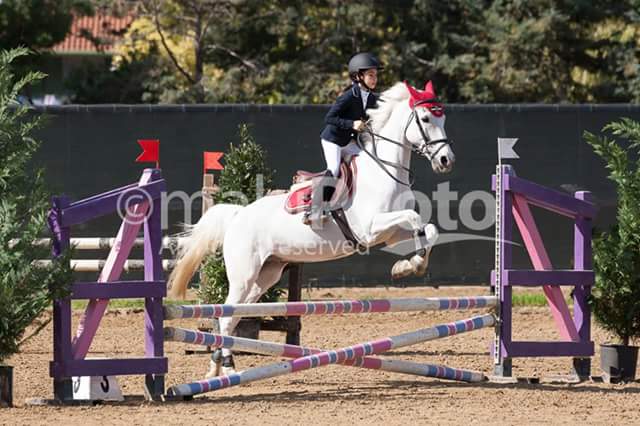 EQUITAZIONE – Aurora & Over The Top, binomio d’argento!