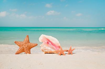 TURISMO – Cresce l’affluenza nell’Isola