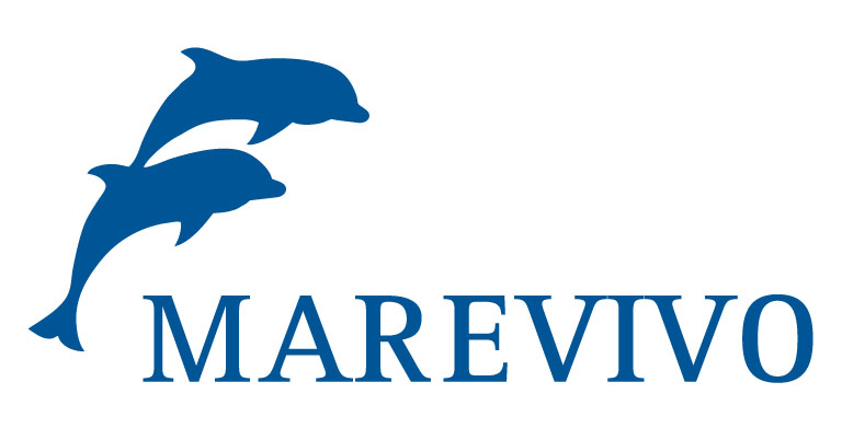 MARE VIVO – Rischio pesci a tavola per residui di plastica
