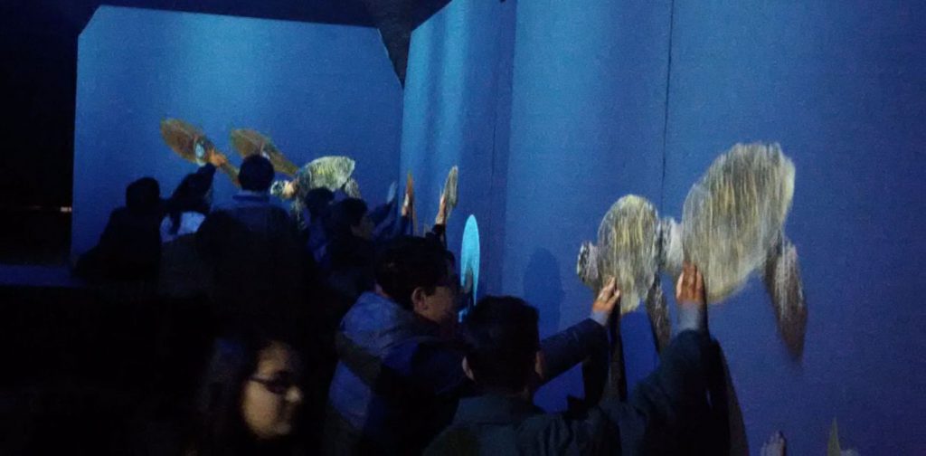 MESSINA – Inaugurata al Parco Horcynus Orca di Capo Peloro la sala immersiva