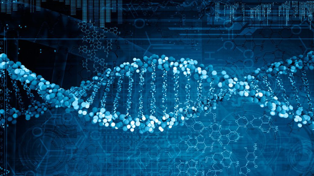 SALUTE E SCIENZA – Il segreto per invecchiare bene è in un mix di Dna
