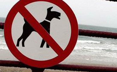 DIVIETI – Nelle spiagge di Lipari e Vulcano i cani non possono entrare