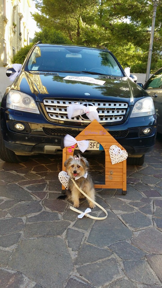 WEDDING DOG – A Brolo, per la prima volta in provincia di Messina, un matrimonio visto con lo sguardo di un cane