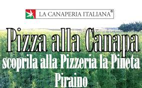 PIZZA DI CANAPA – Vieni a scoprila Sabato 10 Settembre alla Pineta di Piraino