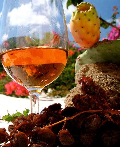 WINE SHOW FESTIVAL & VIAGGI CON GOETHE –  Quando il Vino vuol anche dire Turismo e Cultura