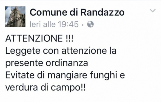 MICHELE MANGIONE 2 – Ma “Evitate funghi e verdura da campo”