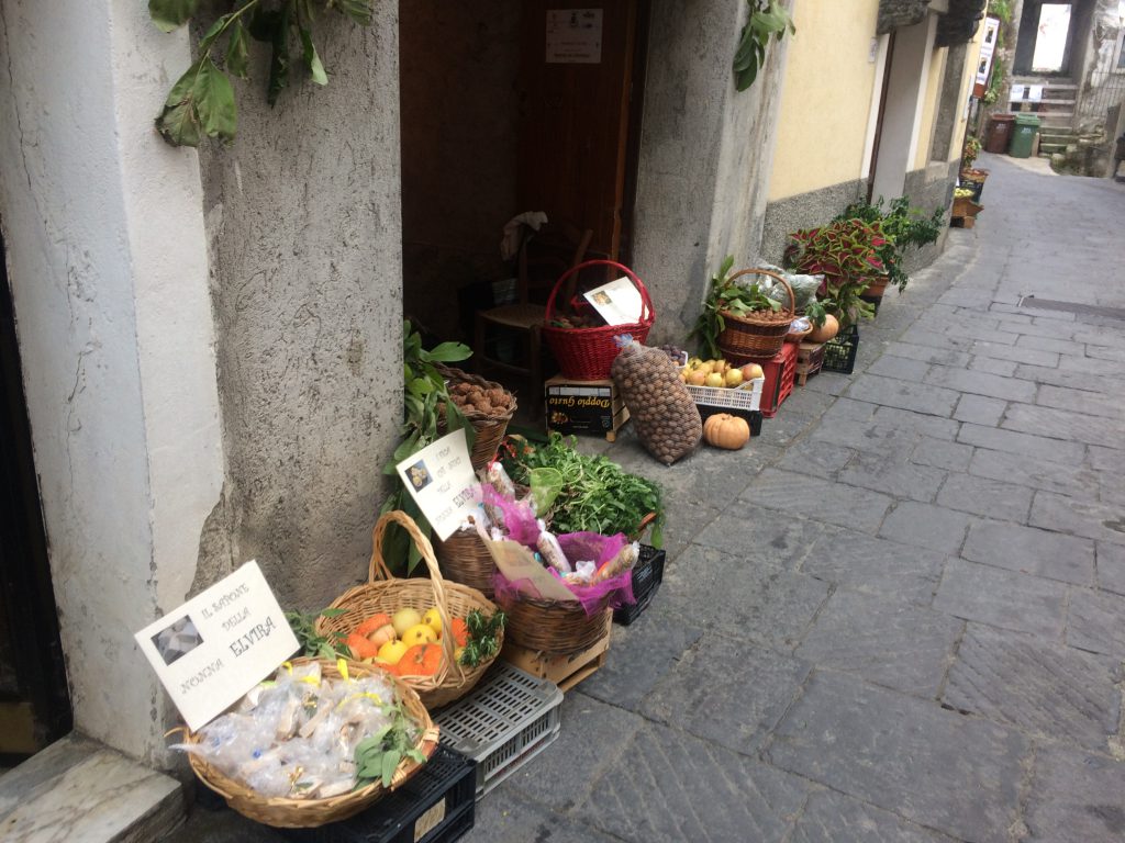 MOTTA CAMASTRA – Al via la XIV edizione della Festa della Noce