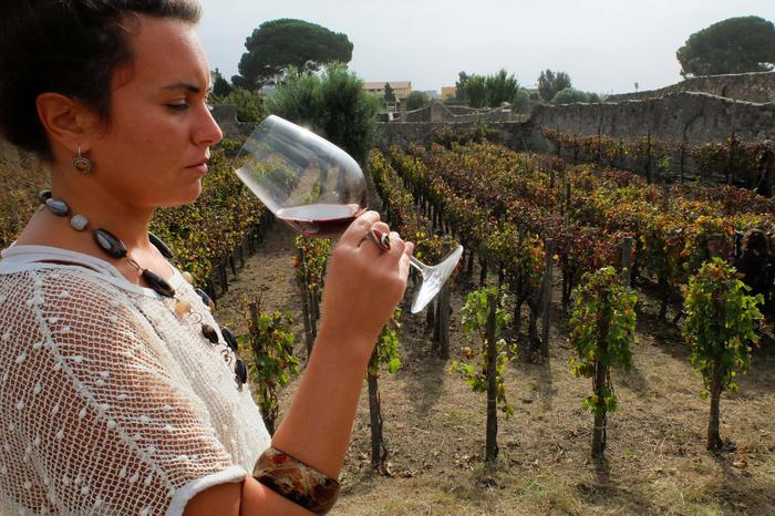 MONTEVAGO – Al via la Sagra del vino