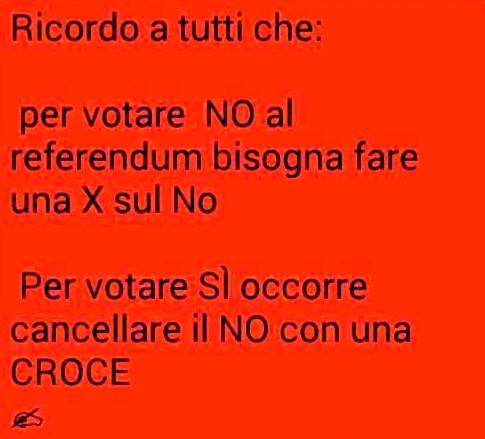 SATIRA & REFERENDUM – La piu’ Bastarda vista in giro