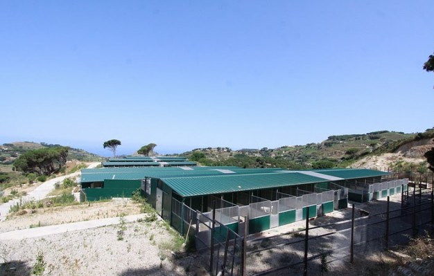 EMERGENZA CANILE MILLEMUSI – Grilli dello Stretto sostengono raccolta cibo