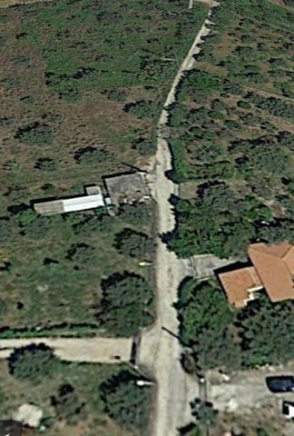 S.AGATA MILITELLO – Il punto dopo il black out  dell’erogazione dell’acqua. A farlo è direttamente il Sindaco
