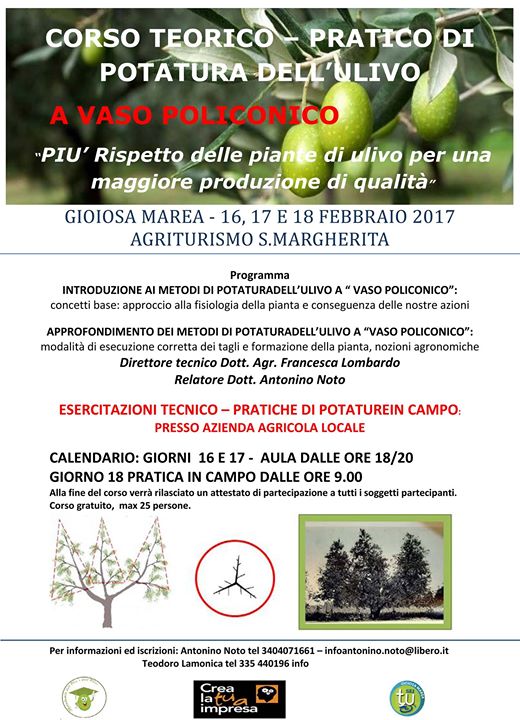 GIOIOSA MAREA – Corso di potatura dell‘ulivo